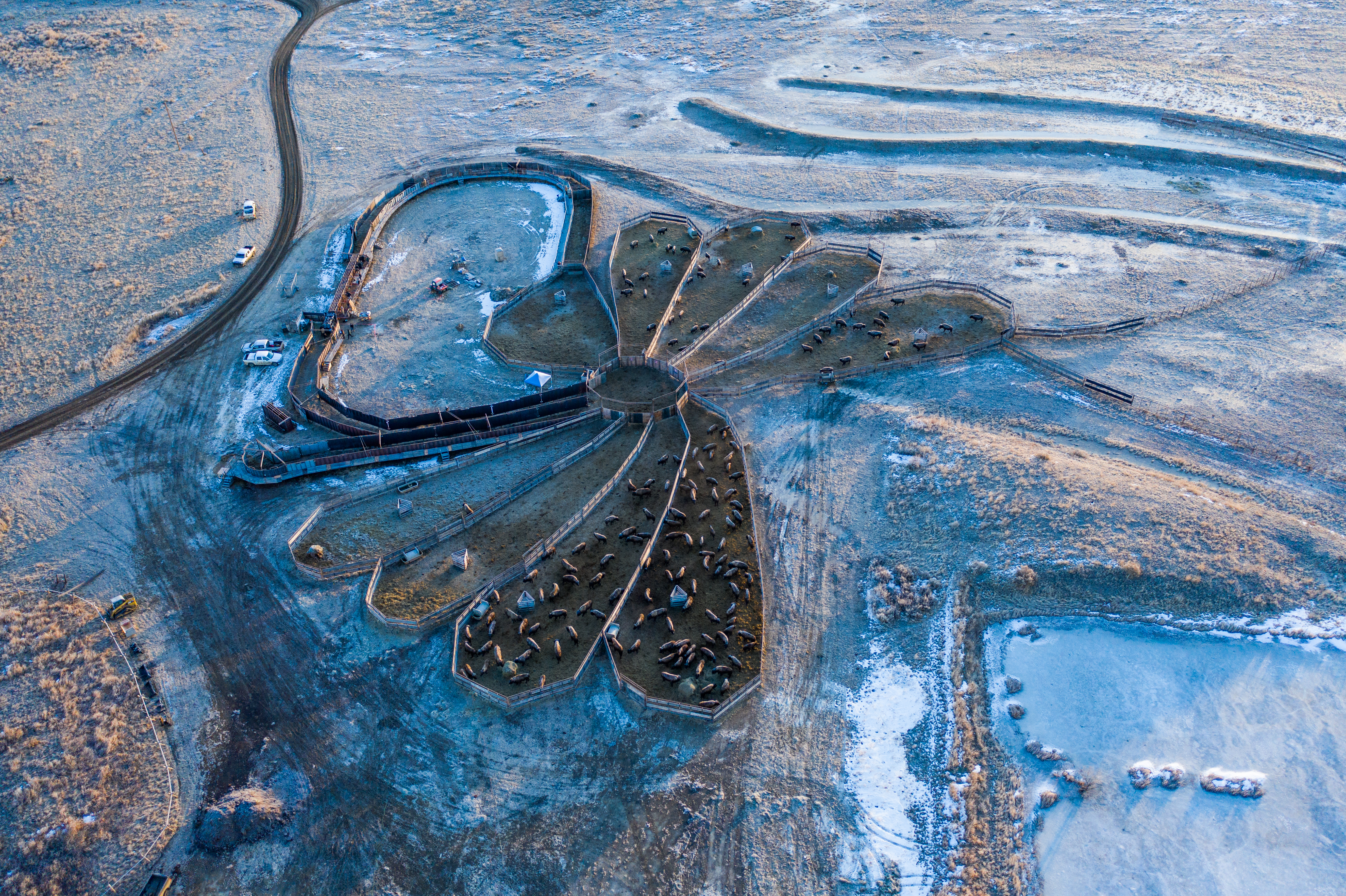 DJI_0103